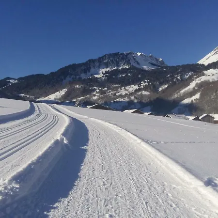 Gaestehaus Pfandl 아파트 Au (Vorarlberg)