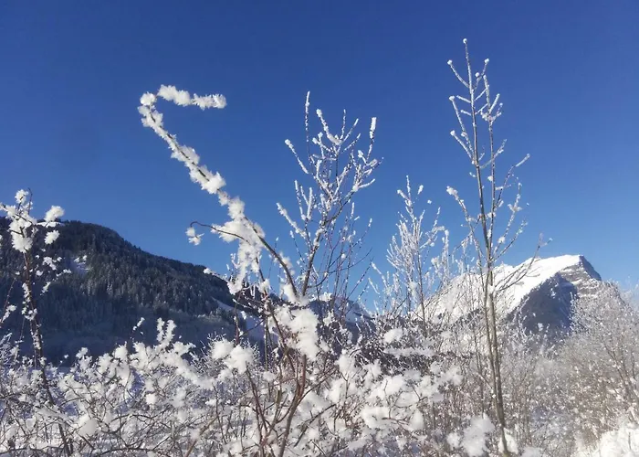 Gaestehaus Pfandl Appartement