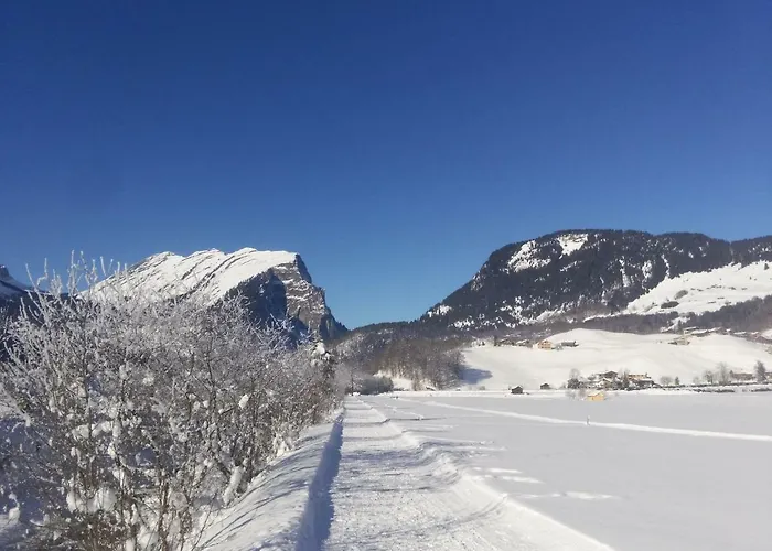 Gaestehaus Pfandl * Au (Bregenz)