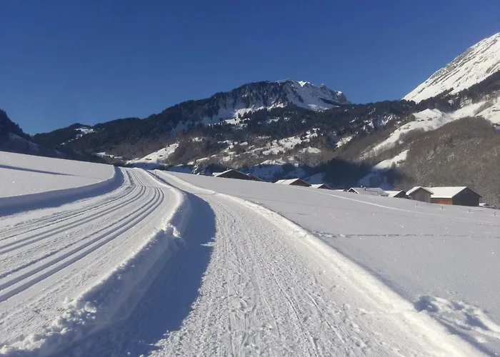 Gaestehaus Pfandl Appartement Au (Bregenz)